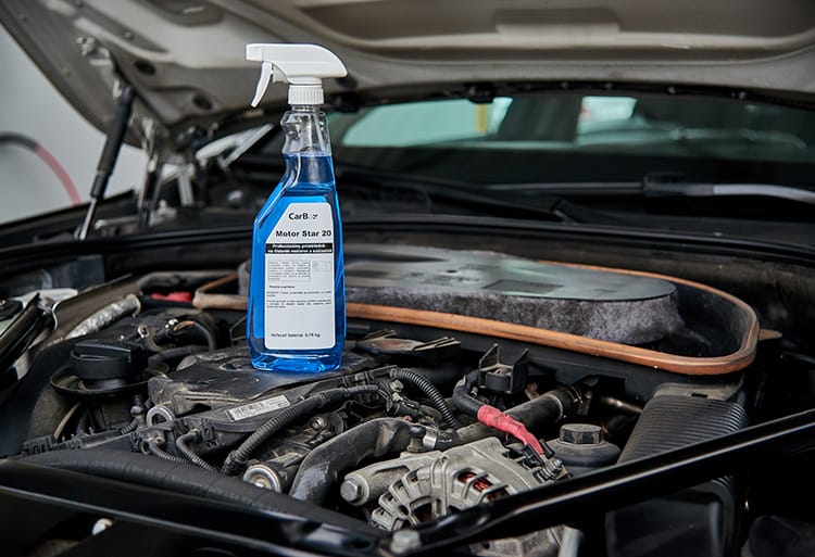 MOTOR LINE - Engine cleaning and degreasing